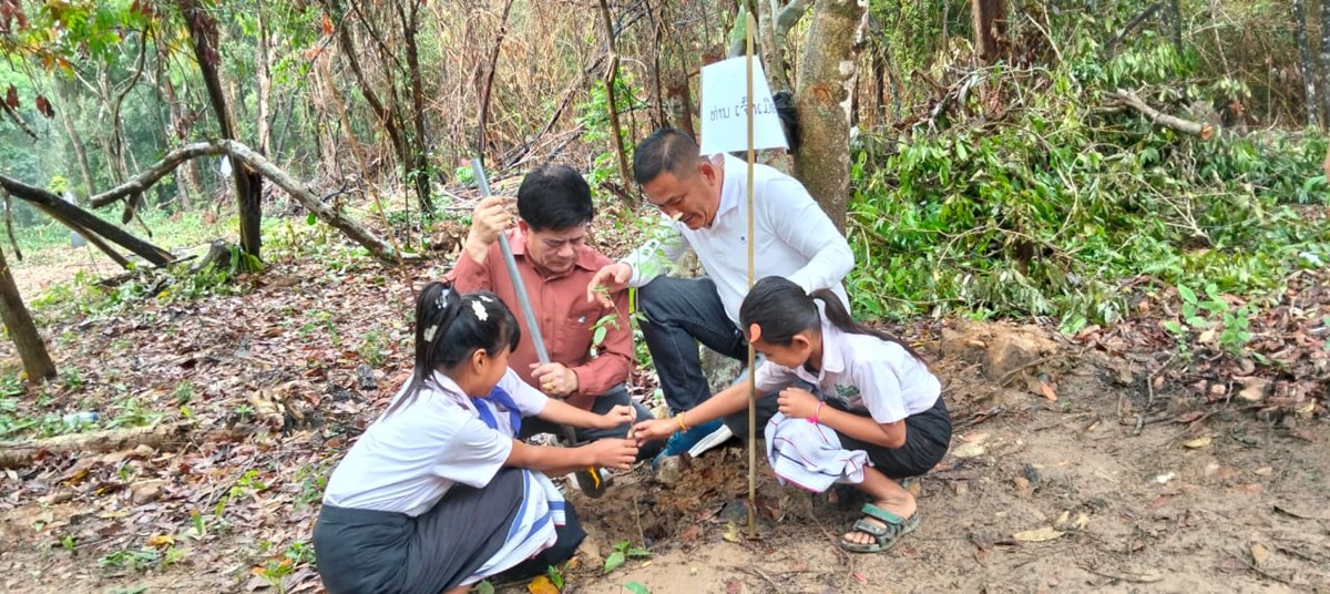 ປນ, ເມອງປາກກະດງຈະປກໄມໃຫໄດ 774,4 ເຮກຕາ - image 1