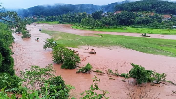 ຜງສາລ ສະຫບວຽກງານໄພພບດ 2024 ແລະ ວາງທດທາງແຜນການ2025. - image 2