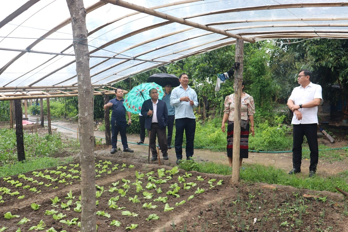 ຄາມວນ ປກພດສາຮອງລະດຝນໄດແລວ 127.39% - image 1
