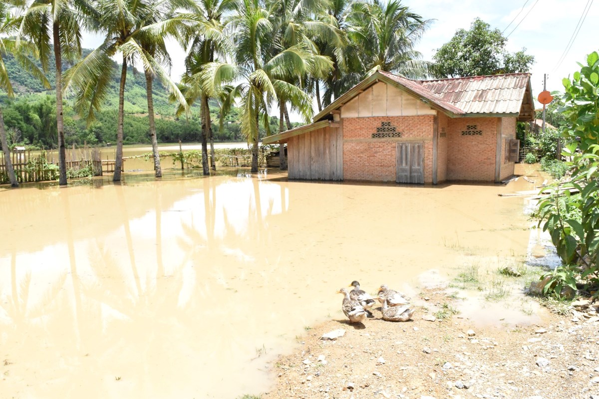 ປະຊາຊນບານນາດອນຄນ ໄດຮບຜນກະທບໄພພບດນຳຖວມ - image 2
