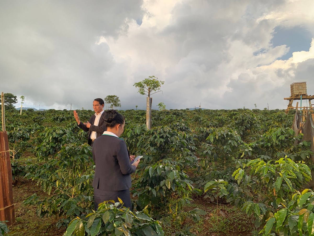 ທນບ ສາຂາຈາປາສກສມແຫງທນໃສຂະແໜງກະສກາ - image 3