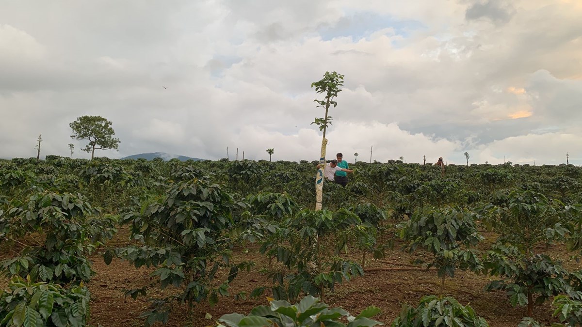 ທນບ ສາຂາຈາປາສກສມແຫງທນໃສຂະແໜງກະສກາ - image 2