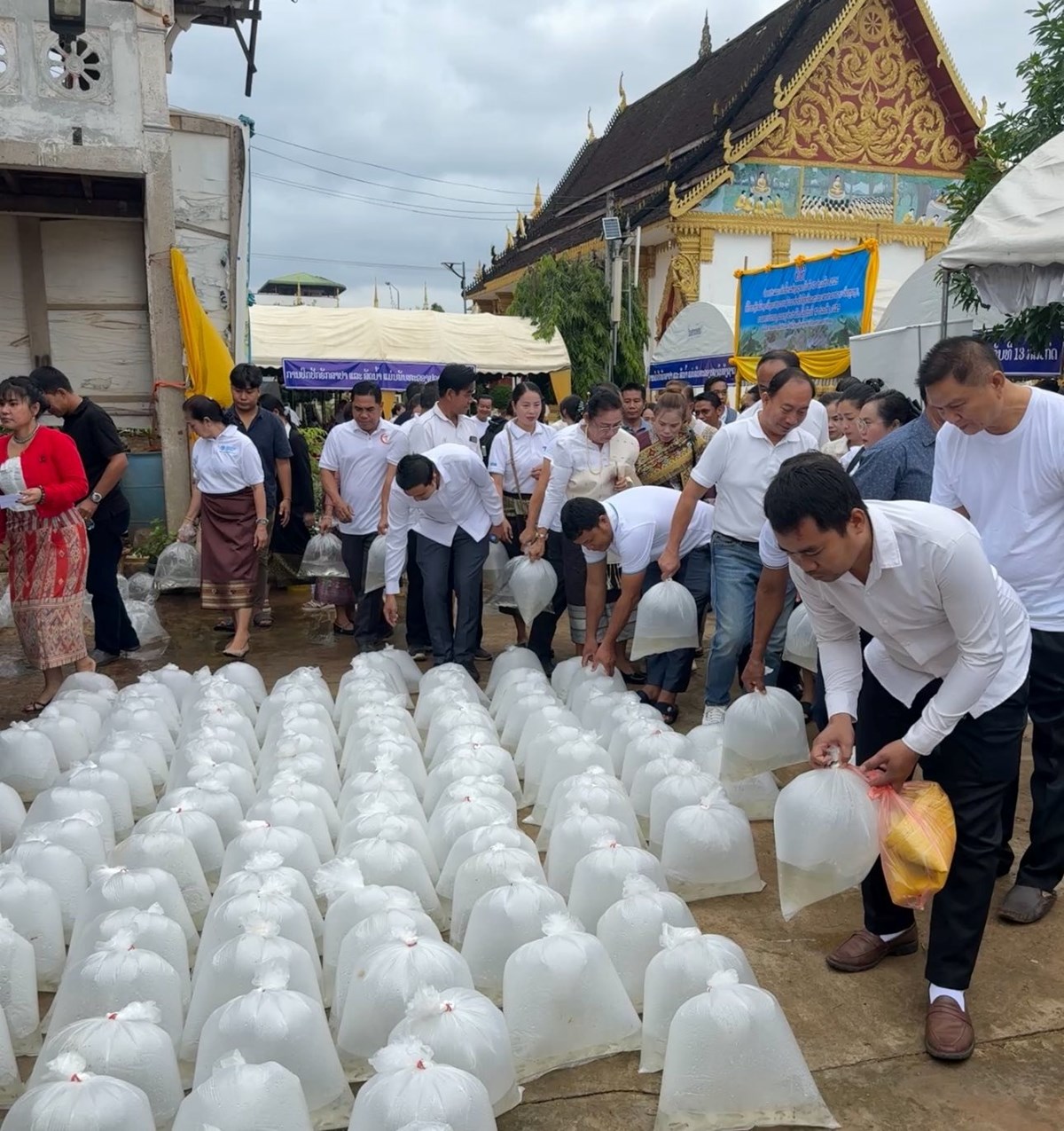 ຈະສະໜອງລກປາ 65 ລານໂຕ ໃນວນປອຍປາ ແລະ ສດນາແຫງຊາດ - image 3