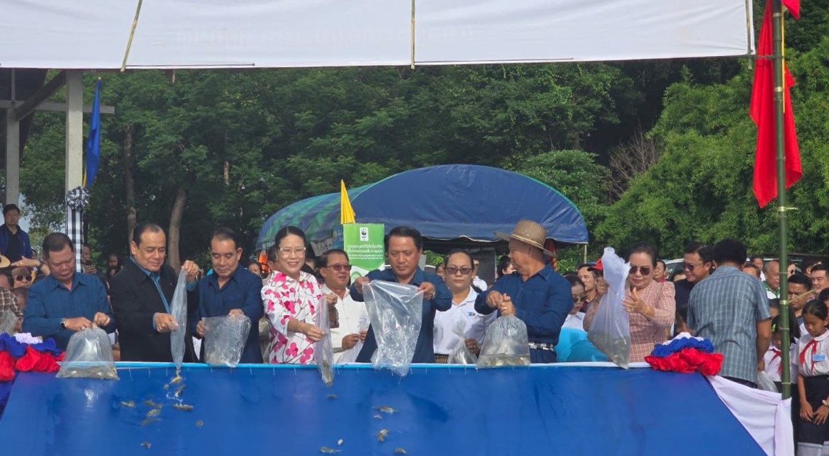ສະຫວນນະເຂດ ປອຍປາລງອາງເກບນາບງວະ 150,000 ໂຕ ແລະ ຈະປອຍປາ-ສດນາຕມອກໃຫໄດ38 ລານໂຕ - image 2