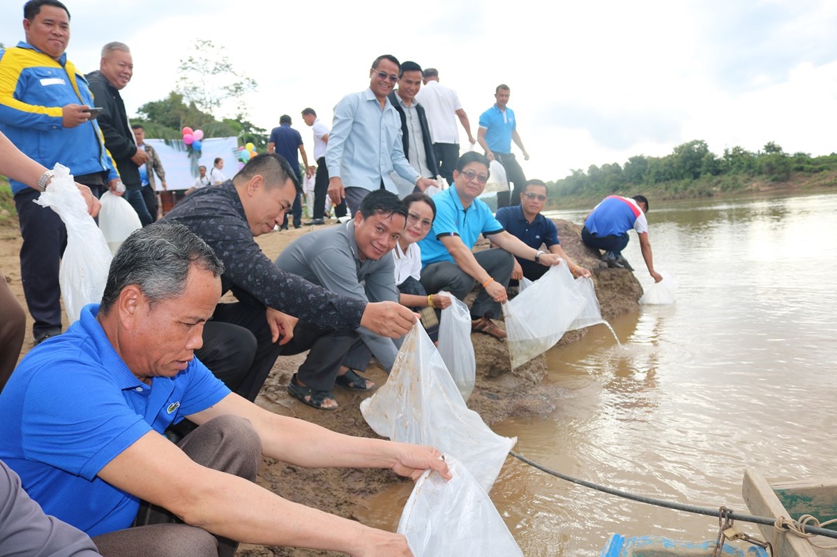 ເຊກອງ ປອຍປາ 10 ພນໂຕ ສະຫລອງວນປອຍປາ ແລະ ສດນາແຫງຊາດ - image 1