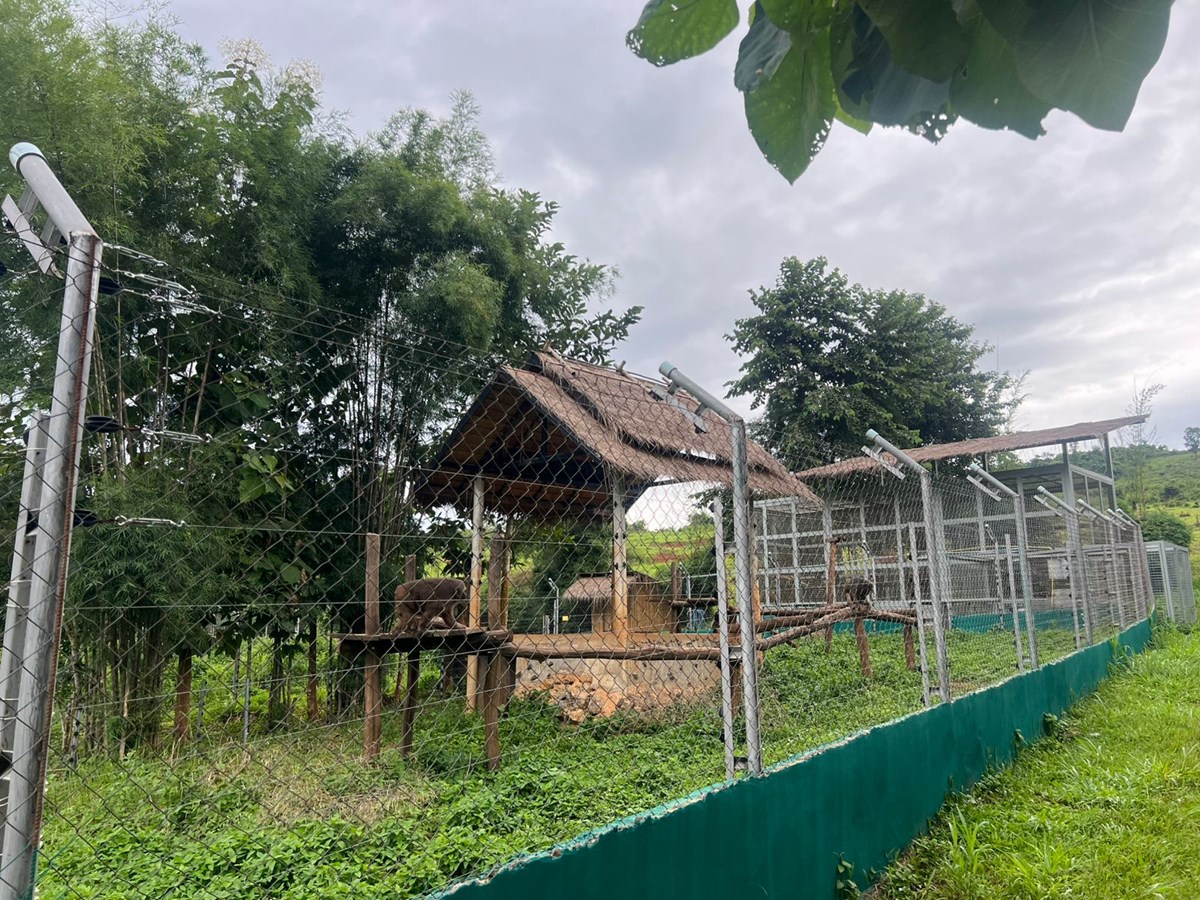 6 ເດອນຕນປນ ໂຄງການອານລກໝລາວ ໄລຍະ IV ໄດເອາໃຈໃສເບງແຍງສດປາເປນຢາງດ - image 1