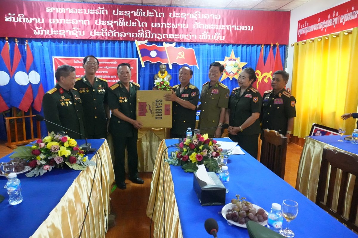 ອະດດທະຫານອາສາສະໝກ ແລະ ຊຽວຊານຫວຽດນາມ ເຄອນໄຫວເຮດວຽກ ຢແຂວງຄຳມວນ - image 1