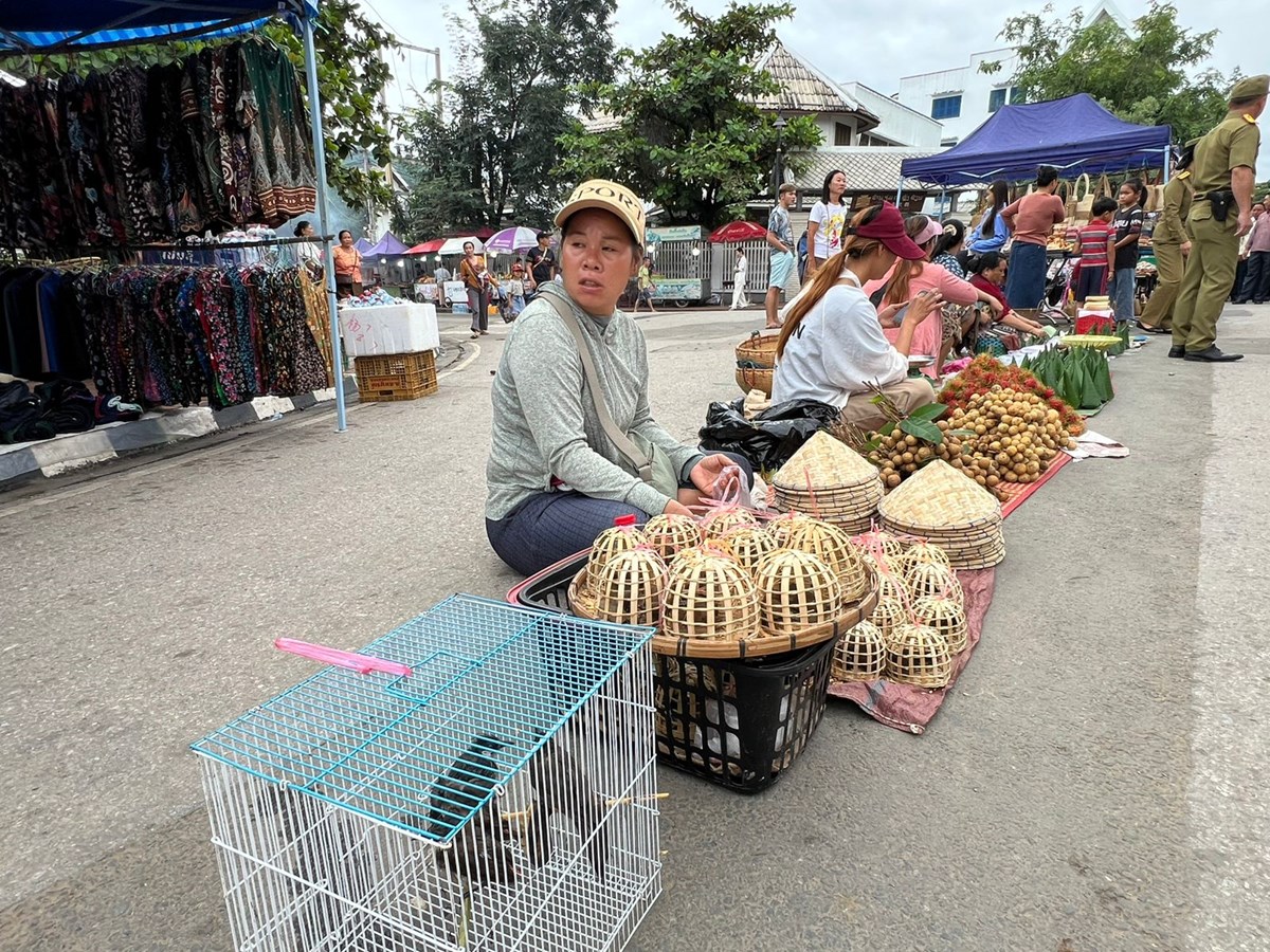 ມວນຊນຊາວຫວງພະບາງ ຮວມງານໂລະລາດໃນງານບນຫເຂາປະດບດນ ຢນະຄອນ ຫວງພະບາງ ຢາງຫວງຫາຍ - image 2