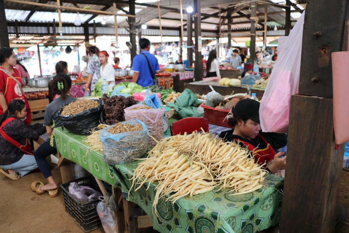 ດກຈງ ສມໃສຜນຂະຫຍາຍມະຕຄຳສງຂອງພກ ເຮດໃຫເສດຖະກດທວເມອງ ຂະຫຍາຍຕວ - image 2