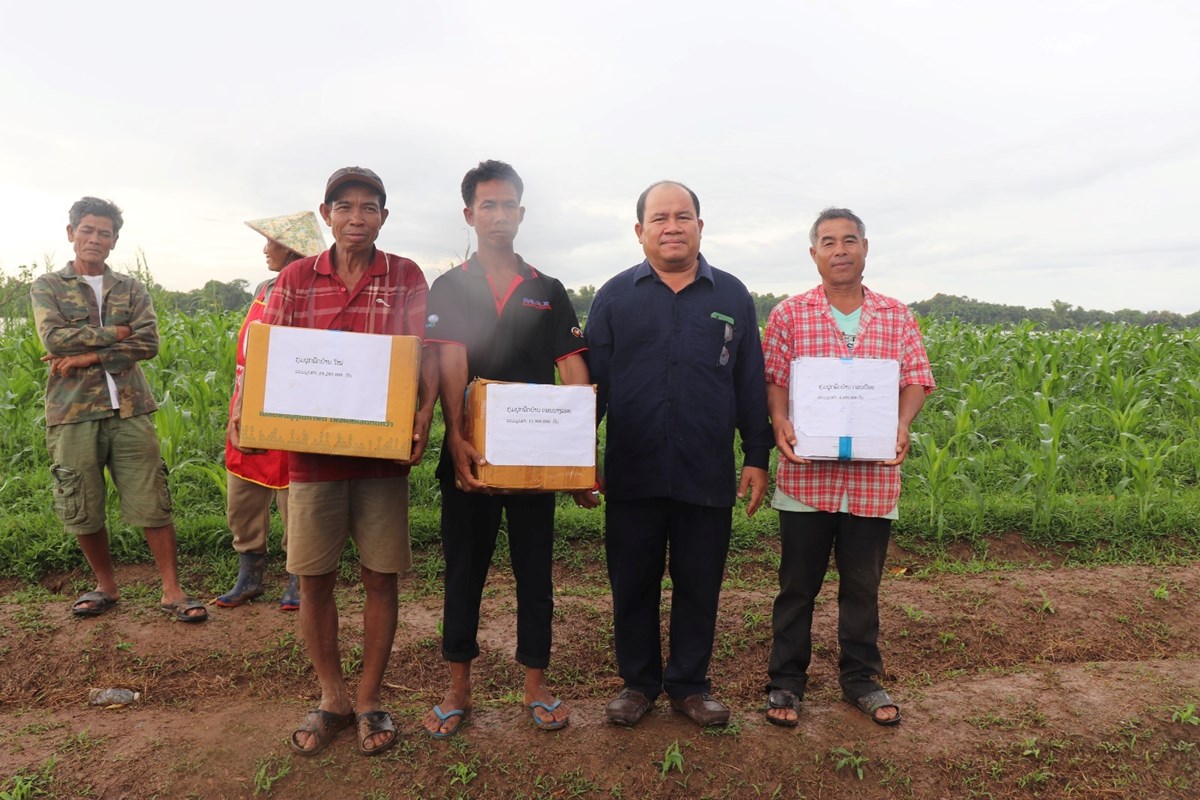 ຊາວກະສກອນ 30 ກວາຄອບຄວໄດຮບແນວພນພດ - image 1