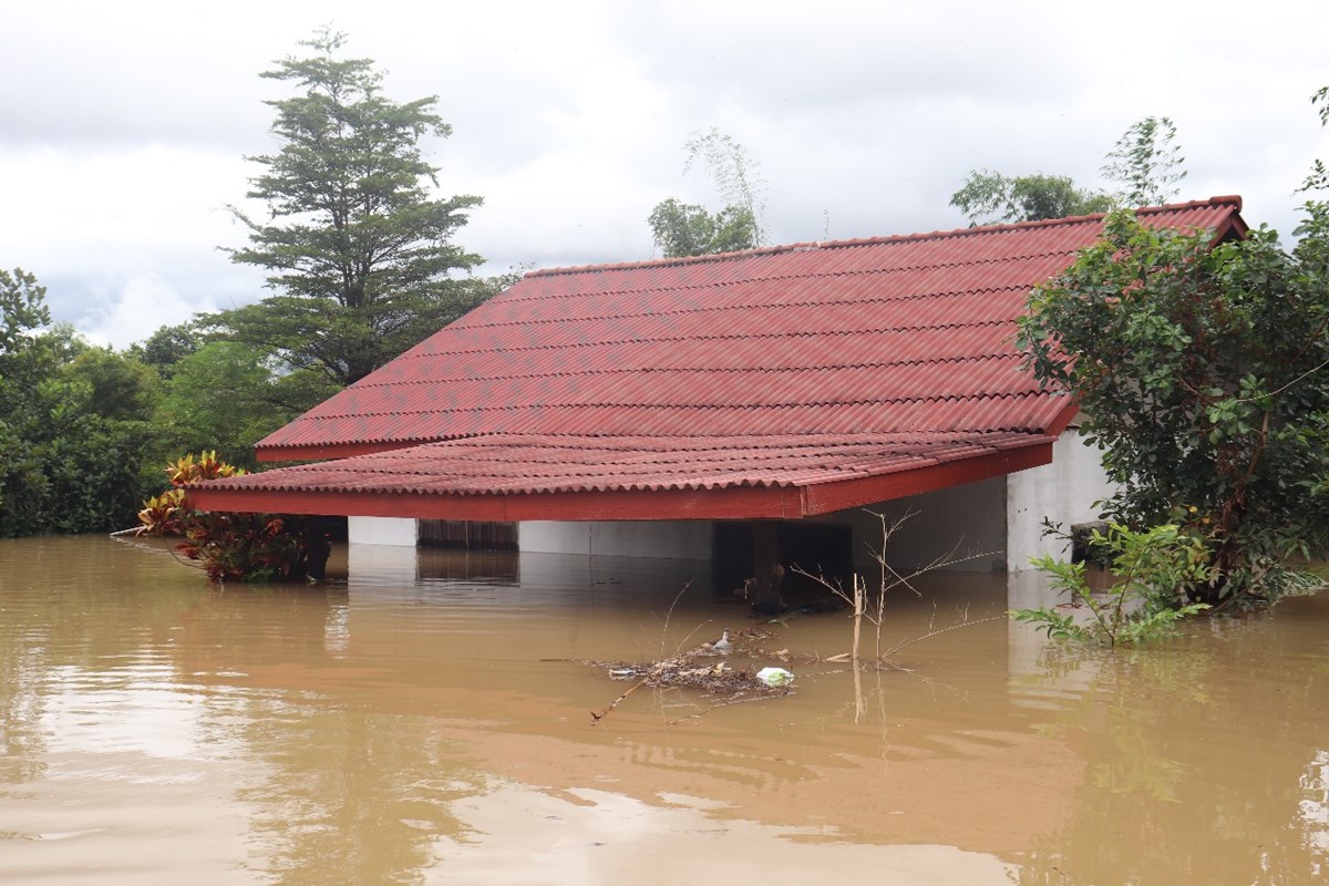 ບນດາບານລມເຂອນໄຟຟານຳເທນ 1ໄດຮບຜນກະທບໜກຈາກໄພນຳຖວມໜກ 4 ບານ - image 2