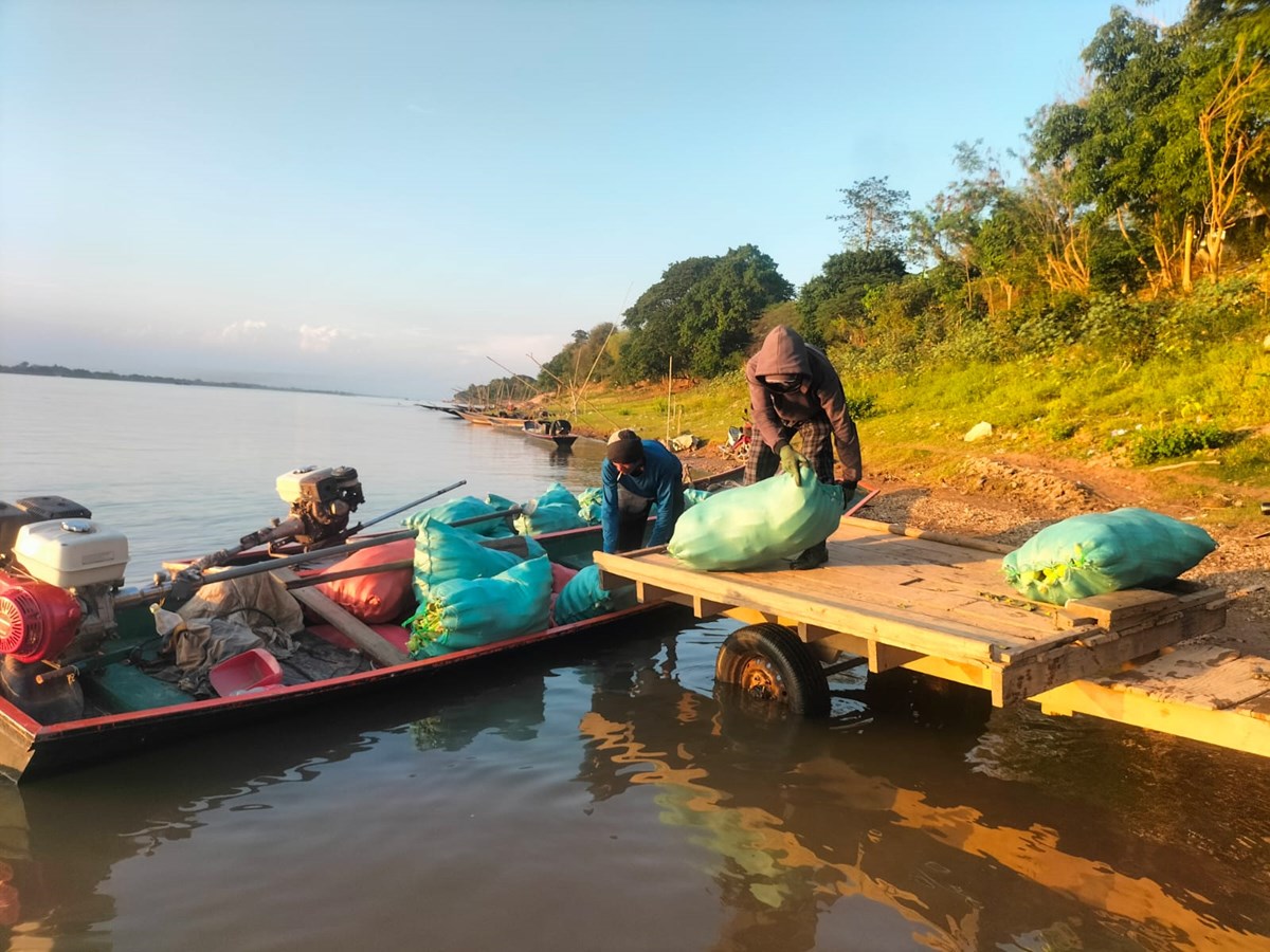 ຊາວກະສກອນໃນທວແຂວງຄາມວນເກບກຜນຜະລດລະດຝນສາເລດໃນເນອທ 7,211 ເຮກຕາ - image 1