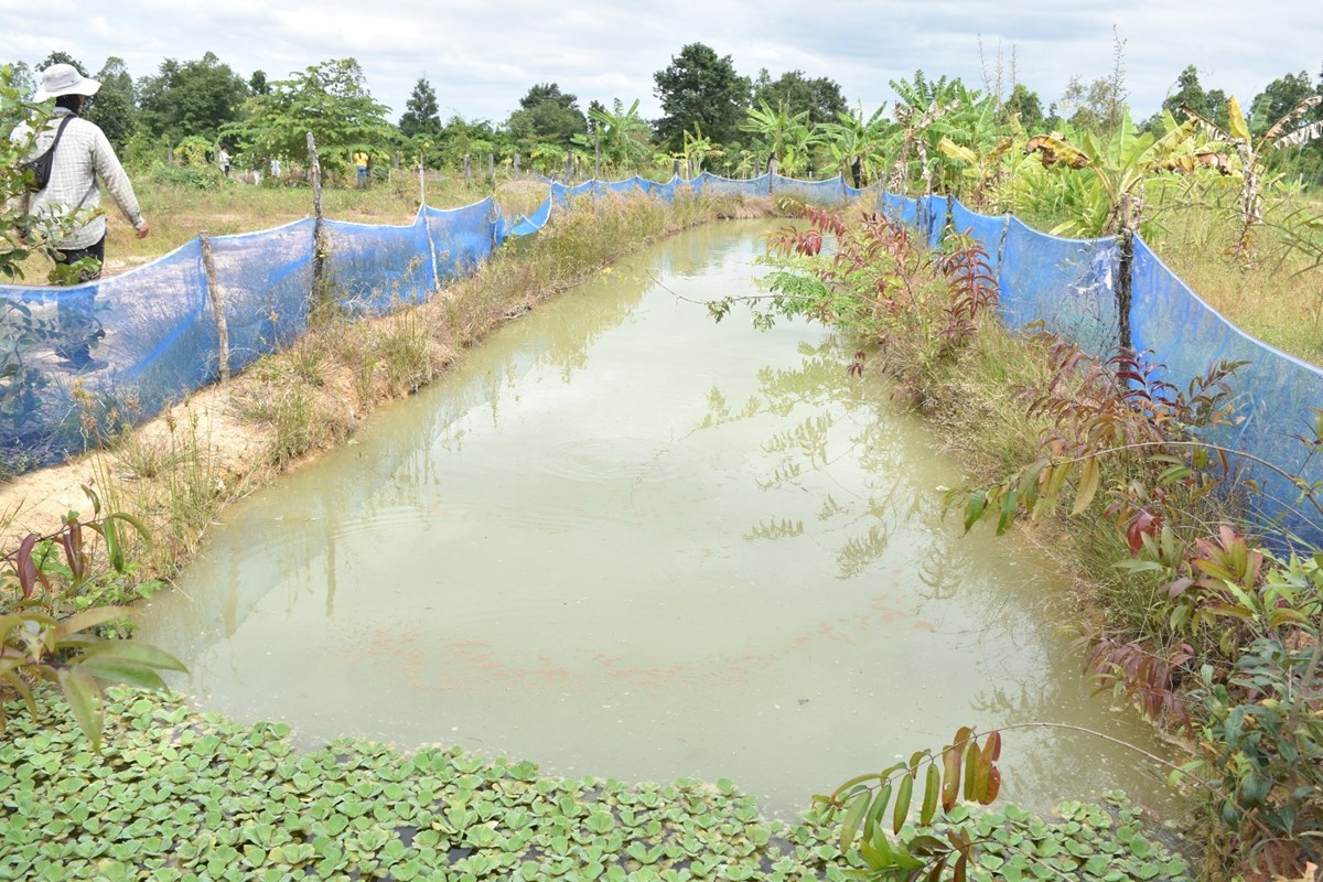 ນັກທຸລະກິດໜຸ່ມຕັ້ງໃຈຢາກປ່ຽນແປງພື້ນທີ່ແຫ້ງແລ້ງກາຍມາເປັນພື້ນທີ່ສວນທີ່ອຸດົມສົມບູນ image 2 ນກທລະກດໜມຕງໃຈຢາກປຽນແປງພນທແຫງແລງກາຍມາເປນພນທສວນທອດມສມບນ - image 2