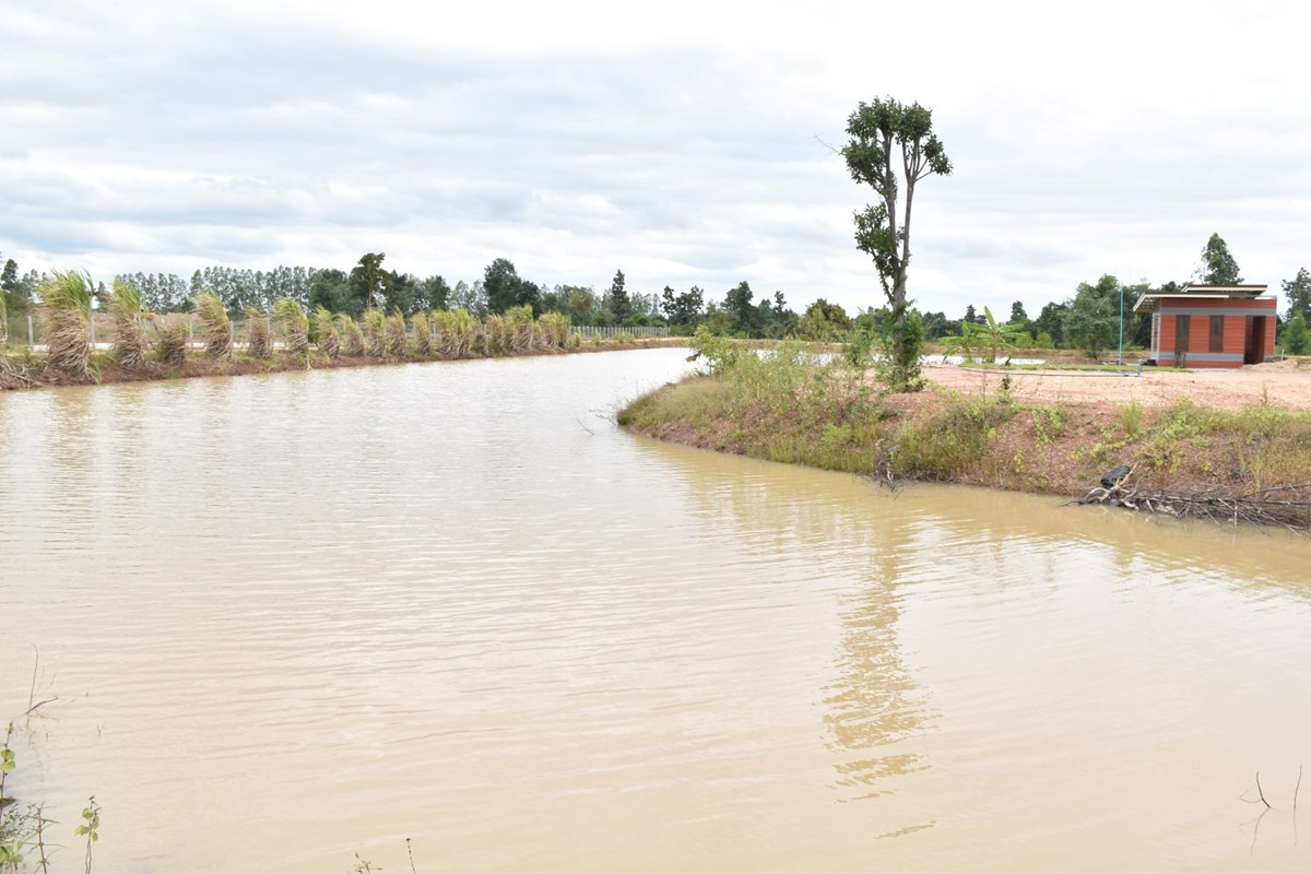 ນັກທຸລະກິດໜຸ່ມຕັ້ງໃຈຢາກປ່ຽນແປງພື້ນທີ່ແຫ້ງແລ້ງກາຍມາເປັນພື້ນທີ່ສວນທີ່ອຸດົມສົມບູນ image 3 ນກທລະກດໜມຕງໃຈຢາກປຽນແປງພນທແຫງແລງກາຍມາເປນພນທສວນທອດມສມບນ - image 3