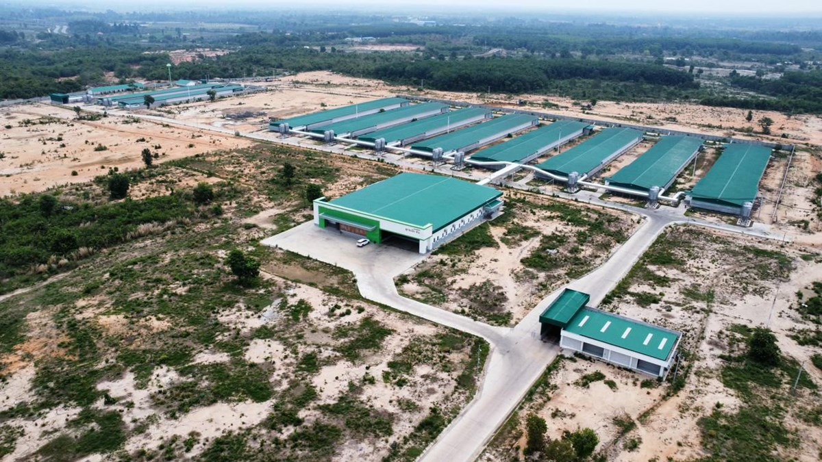 ສກຈະເລນຟາມ ຜະລດໄຂໄກຄນນະພາບຮບປະກນການບລໂພກພາຍໃນປະເທດ - image 3