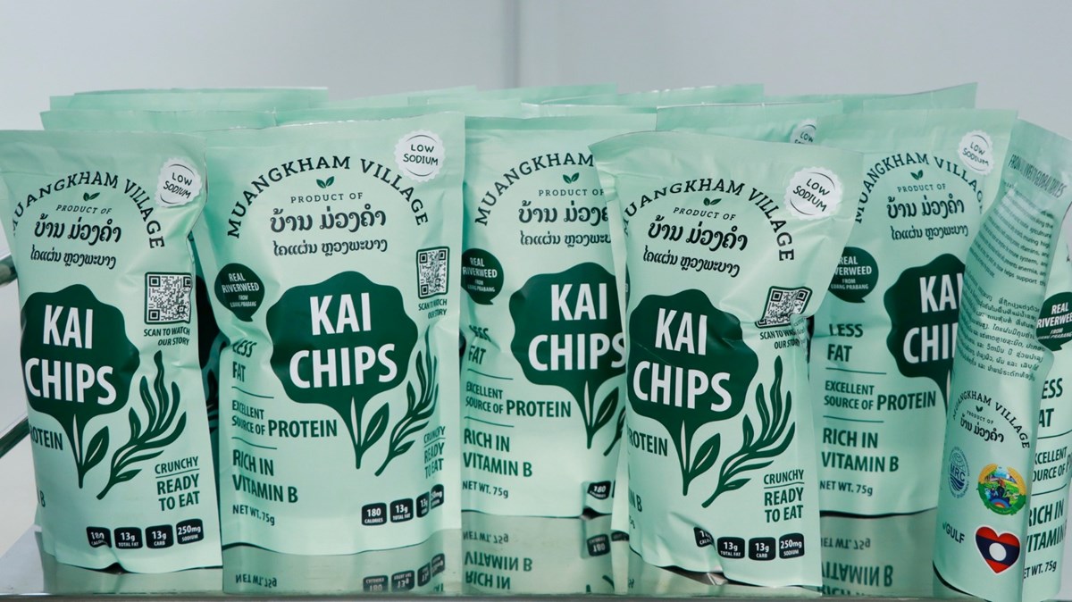 ເປີດໂຄງການຜະລິດໄຄແຜ່ນ ບ້ານມ່ວງຄໍາ image 1 ເປດໂຄງການຜະລດໄຄແຜນ ບານມວງຄາ - image 1