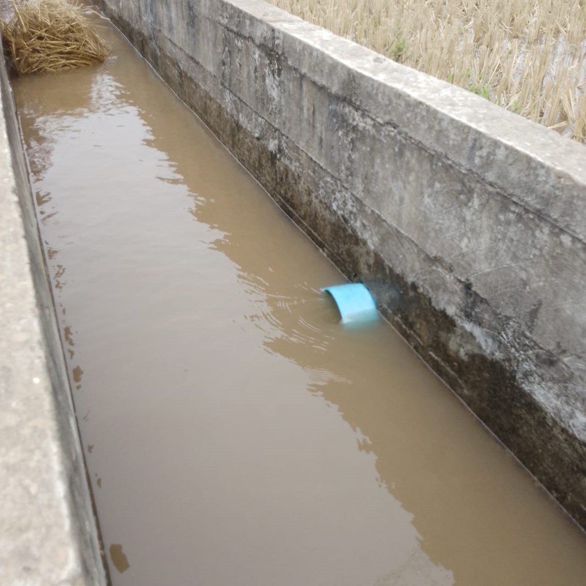 ພທເປດນາ ວນຊນລະປະທານ ແລະ ວນສກຢາປອງກນສດແຫງຊາດ - image 2