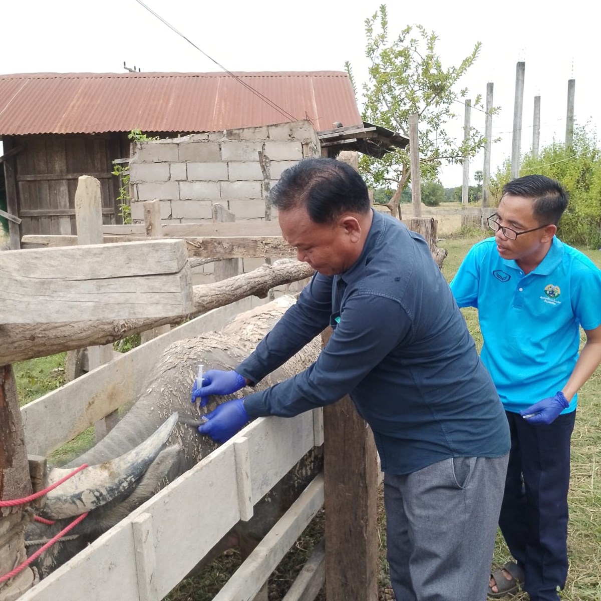 ພທເປດນາ ວນຊນລະປະທານ ແລະ ວນສກຢາປອງກນສດແຫງຊາດ - image 1