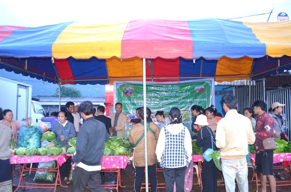 5 ປີ ເມືອງທ່າແຕງ ຈະສູ້ຊົນຜະລິດເຂົ້າໃຫ້ໄດ້ 108,000 ກວ່າໂຕນ image 1 5 ປ ເມອງທາແຕງ ຈະສຊນຜະລດເຂາໃຫໄດ 108,000 ກວາໂຕນ - image 1