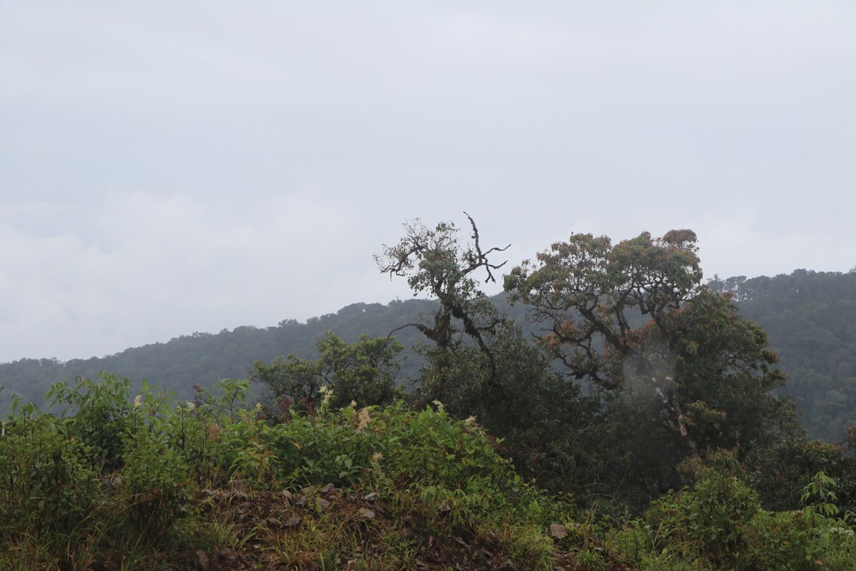 ອະດດຮອງນາຍກລດຖະມນຕ ພອມດວຍການນາແຂວງໄຊສມບນຂນພຊດຈອມພເບຍ - image 3