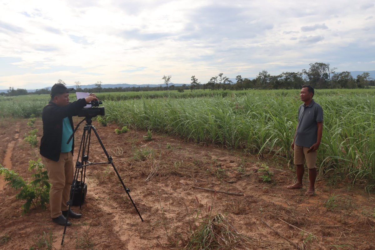 ຄອບຄວຕວແບບປກອອຍ ຕາມກນໄກ 2+3 - image 1