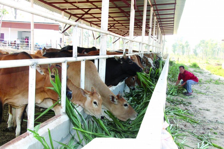 ນະຄອນຫຼວງວຽງຈັນ ສົ່ງເສີມກຸ່ມການຜະລິດຫຼຸດຜ່ອນການນໍາເຂົ້າ image 2 ນະຄອນຫວງວຽງຈນ ສງເສມກມການຜະລດຫດຜອນການນາເຂາ - image 2