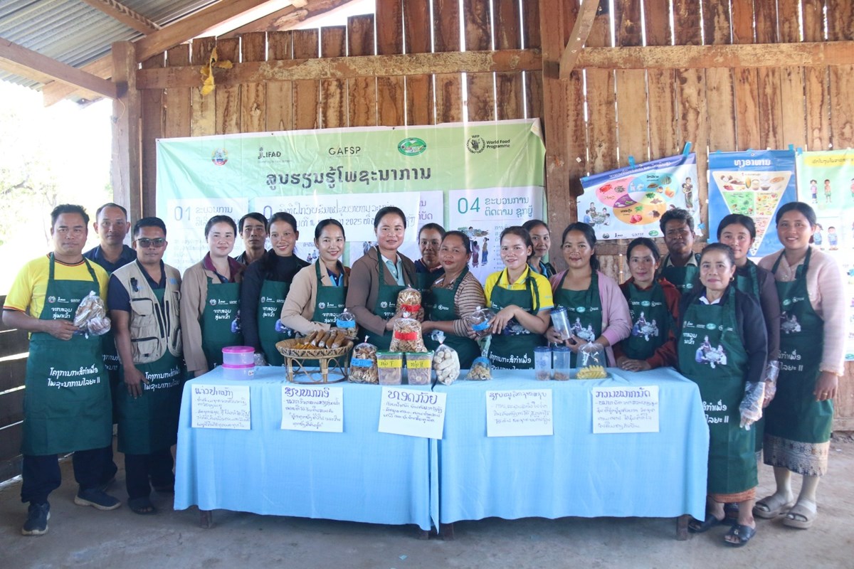 ໂຄງການ AFN ຊວຍໃຫຊມຊນຮວທການແປຮບອາຫານທຫາກຫາຍ - image 3