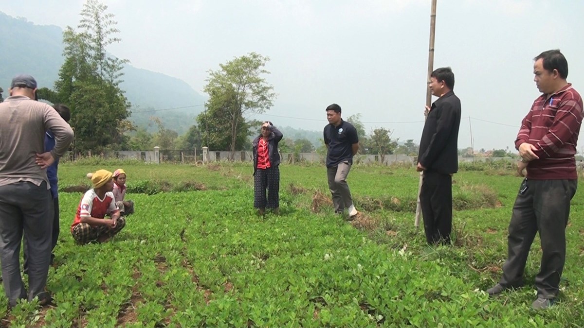 ເຊກອງ ຜະລດເຂາ ແລະພດສະບຽງອາຫານໄດ 88,903ໂຕນ - image 1