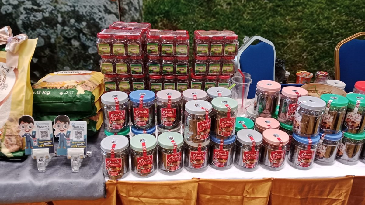 ແຈວປາບາກງຕອງລອງ ເປນທຮບຮທງພາຍໃນ ແລະ ຕາງປະເທດ - image 1