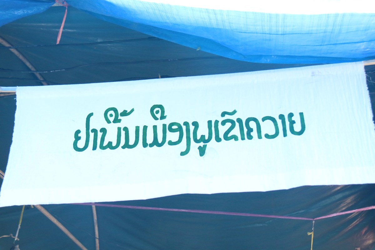 ຢາພື້ນເມືອງພູເຂົາຄວາຍ ກະທຽມດໍາດອງນໍ້າເຜິ້ງປິ່ນປົວພະຍາດໄຂມັນຫຸ້ມເສັ້ນເລືອດ-ຫົວໃຈ image 2 ຢາພນເມອງພເຂາຄວາຍ ກະທຽມດາດອງນາເຜງປນປວພະຍາດໄຂມນຫມເສນເລອດ-ຫວໃຈ - image 2