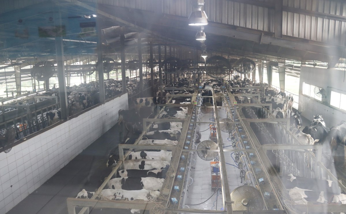 ຄະນະຜແທນ ສນຊ ເຂາຮວມກອງປະຊມສາກນເສມສາງຊາຍແດນລາວ-ຫວຽດນາມ - image 2