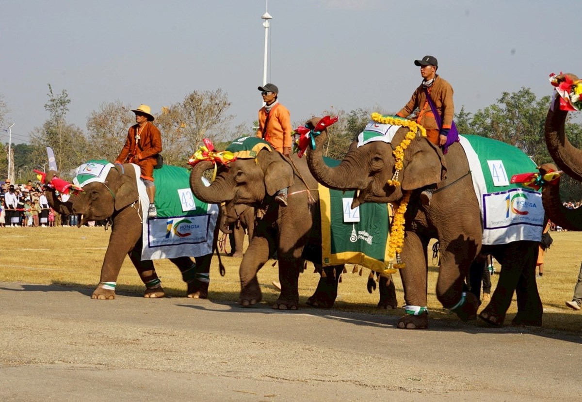 ໄຟຟາຫງສາ ສະໜບສະໜນ 70 ລານ ງານມະຫະກາບນຊາງ ປ 2026 - image 2