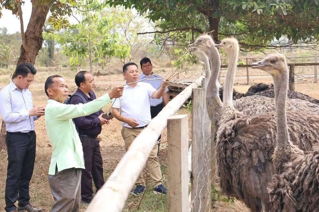 ສວນນາທດາເພດ ຕວແບບການພດທະນາການທອງທຽວ ຕດພນກບການຜະລດກະສກາແບບຍນຍງ - image 1