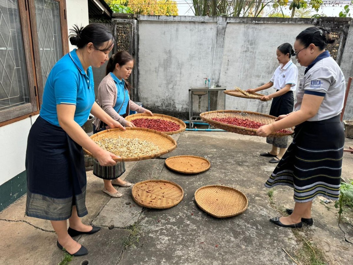 ນາໃຈສະຫະພນແມຍງລາວ ສທະຫານແນວໜາ - image 1