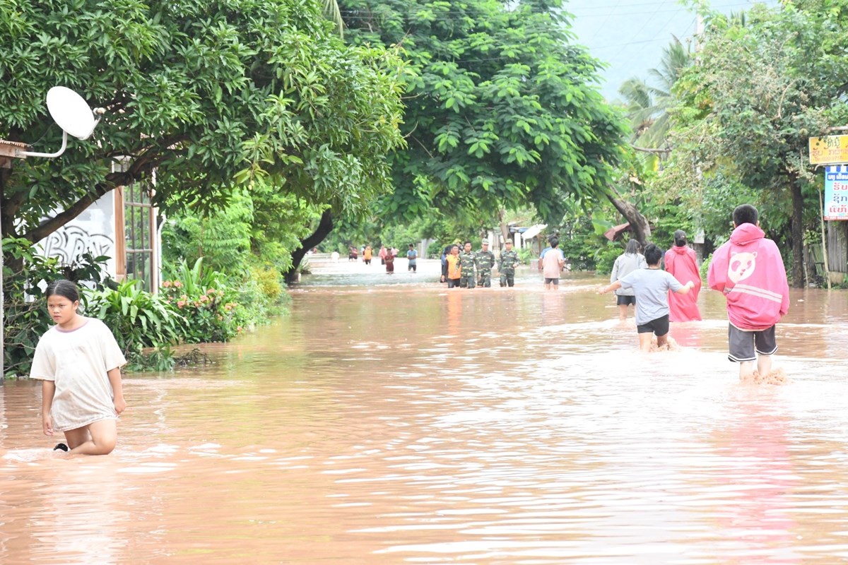 ສບຕເພມທະວວຽກງານປອງກນ-ການຄວບຄມ ແລະ ການຟນຟຫງໄພພບດໃຫມຄວາມເຂມແຂງ - image 1