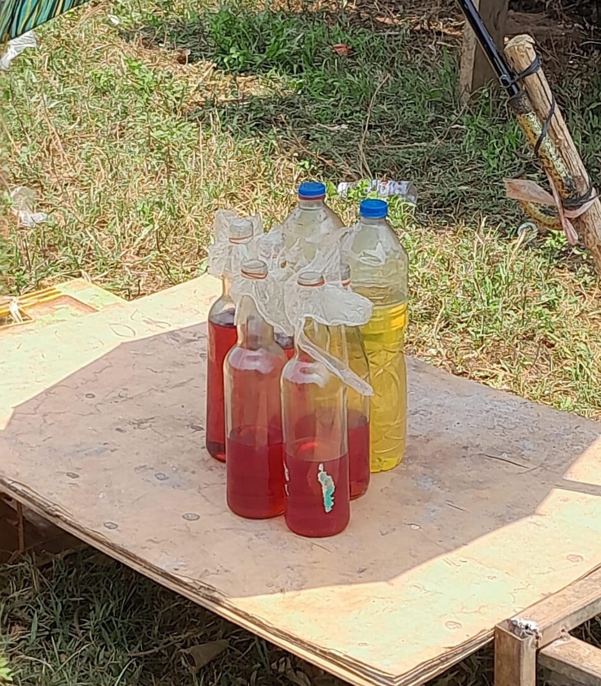 ເຊກອງ ພບການຈາໜາຍນາມນເຊອໄຟບຜານປາ-ບຜານຫວຈາຍ ໃນສອງເມອງ 24 ຫວໜວຍ - image 2