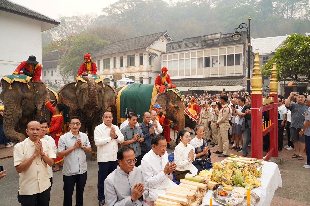 ແຫ່ຊ້າງຮຽງເກີຍ ຢູ່ນະຄອນ ຫຼວງພະບາງປີນີ້ຈັດຂຶ້ນຢ່າງຄຶກຄື້ນ image 1 ແຫຊາງຮຽງເກຍ ຢນະຄອນ ຫວງພະບາງປນຈດຂນຢາງຄກຄນ - image 1