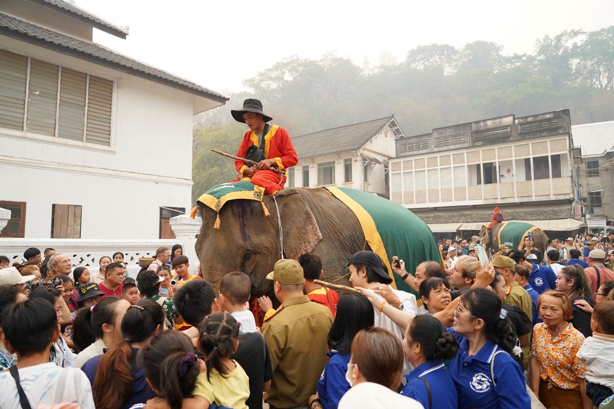 ແຫ່ຊ້າງຮຽງເກີຍ ຢູ່ນະຄອນ ຫຼວງພະບາງປີນີ້ຈັດຂຶ້ນຢ່າງຄຶກຄື້ນ image 2 ແຫຊາງຮຽງເກຍ ຢນະຄອນ ຫວງພະບາງປນຈດຂນຢາງຄກຄນ - image 2
