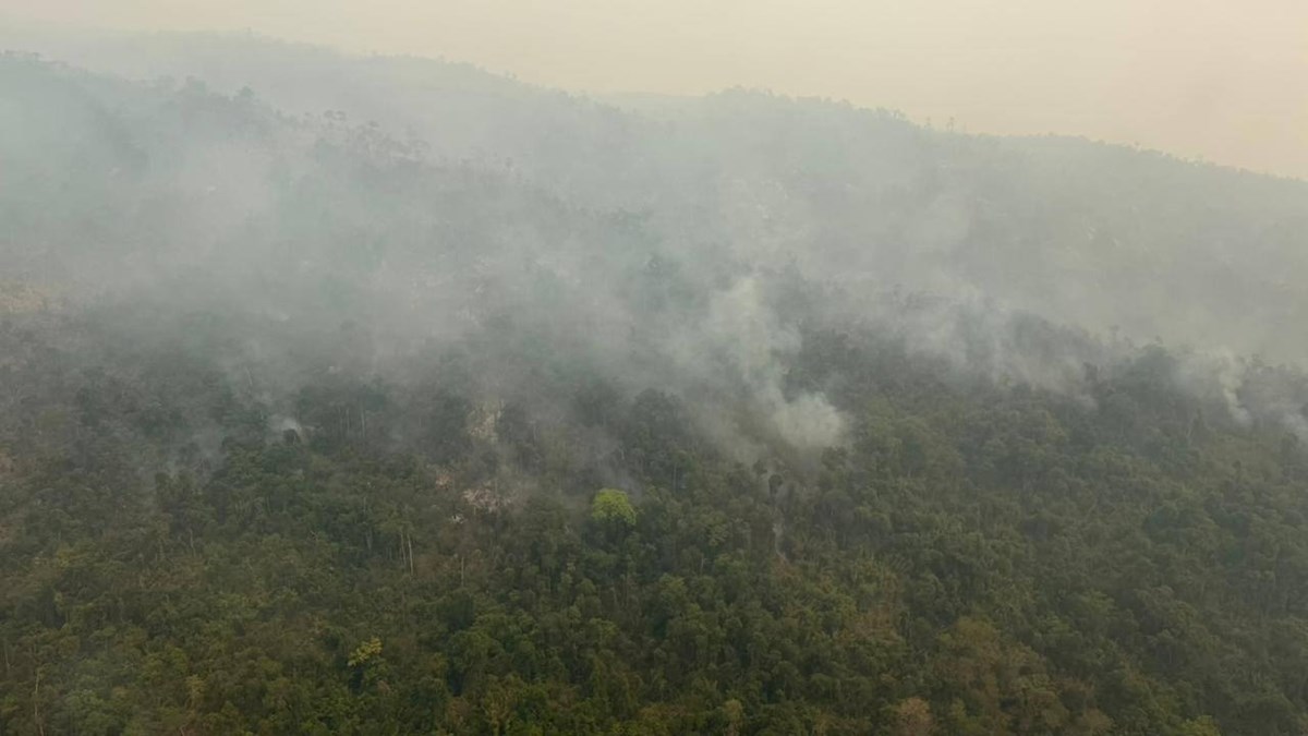 ຕດຕາມສະພາບການໄຟໄໝລາມປາ ໃນເຂດພເຂາຄວາຍ - image 3