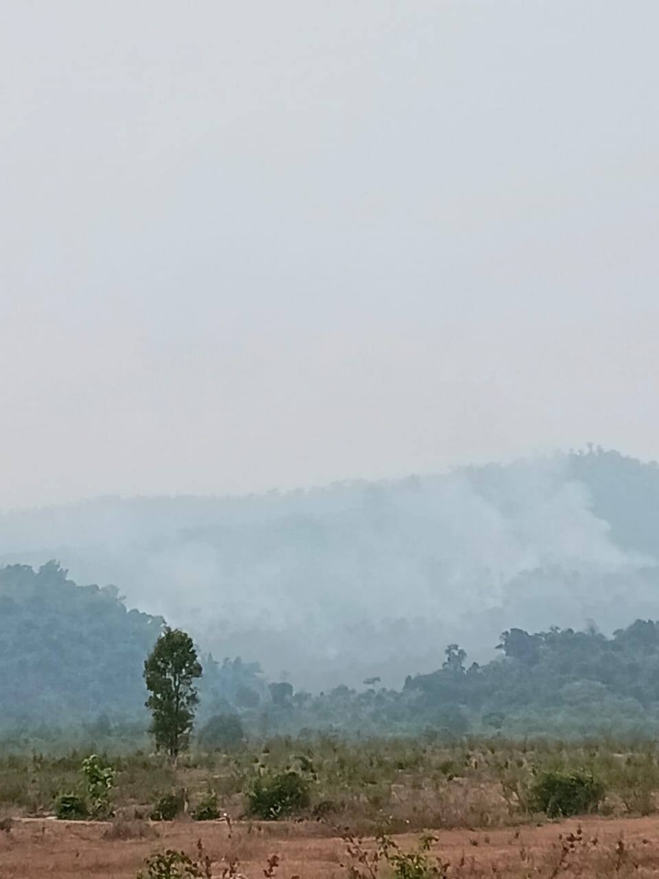 ກມປາໄມ ສມທບກບ ອງການປກຄອງເມອງ ດບໄຟປາ - image 3