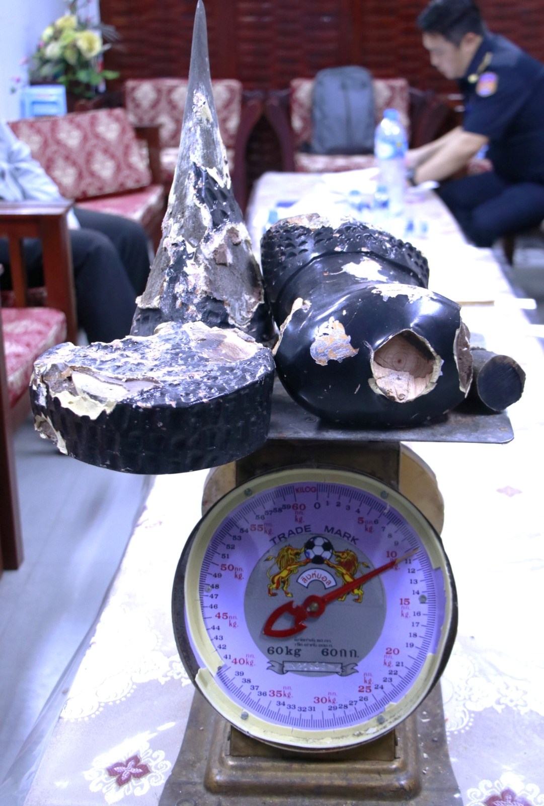 ຢດຊນສວນສດປາຫວງຫາມ 10.1 ກໂລ ຢສະໜາມບນສາກນວດໄຕ - image 3