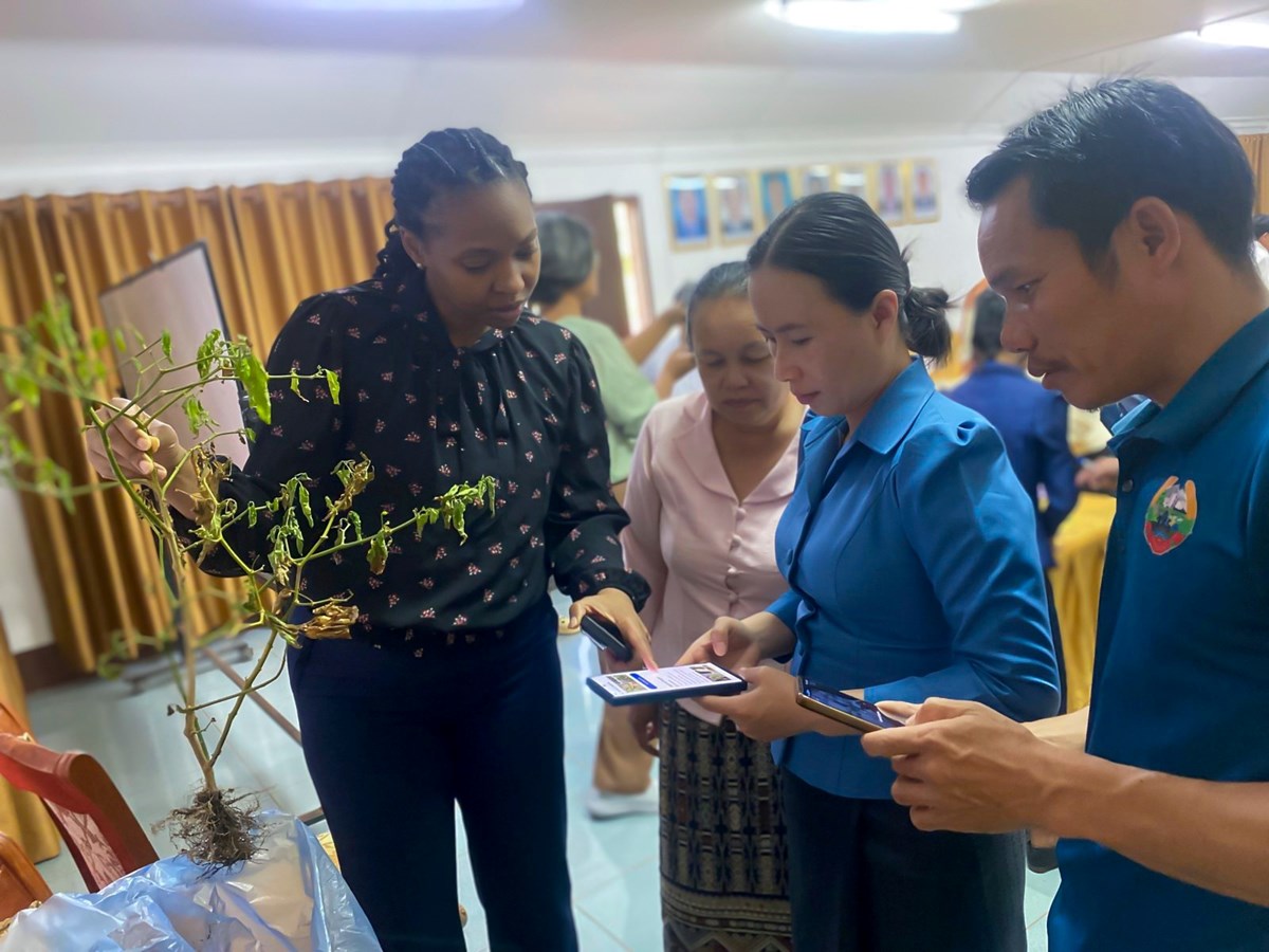 ຝກອບຮມຄຝກ ເຕກນກການປກພດຜກ ແລະ ການວໄຈ ການປອງກນພະຍາດ-ແມງໄມ ທເປນມດຕສງແວດລອມ - image 1