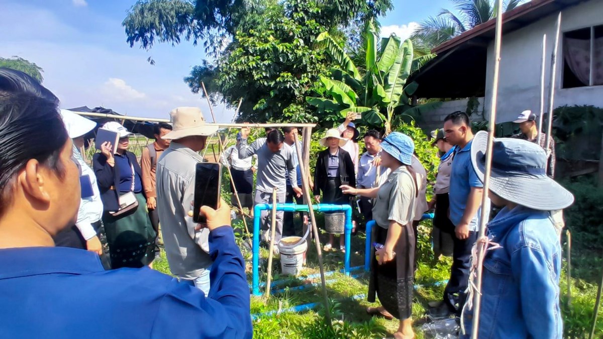ຝກອບຮມຄຝກ ເຕກນກການປກພດຜກ ແລະ ການວໄຈ ການປອງກນພະຍາດ-ແມງໄມ ທເປນມດຕສງແວດລອມ - image 2