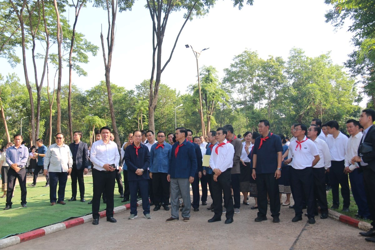 ປກຕນໄມ ຕອນຮບວນສາງຕງ ມຊ, ວນເດກນອຍສາກນ ແລະ ວນປກຕນໄມແຫງຊາດ - image 4