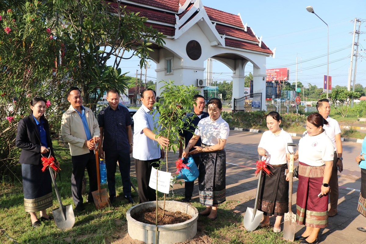 ດານສາກນຂວມດຕະພາບ 1 ປກດອກໄມປະດບ ໃນ​ໂອ​ກາດ​ວນ​ປກ​ຕນ​ໄມ​ແຫງ​ຊາດ - image 1