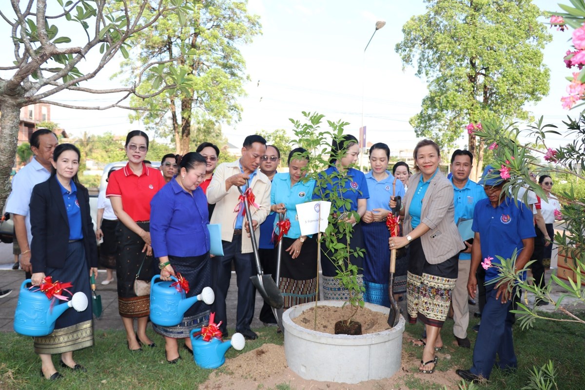 ດານສາກນຂວມດຕະພາບ 1 ປກດອກໄມປະດບ ໃນ​ໂອ​ກາດ​ວນ​ປກ​ຕນ​ໄມ​ແຫງ​ຊາດ - image 2