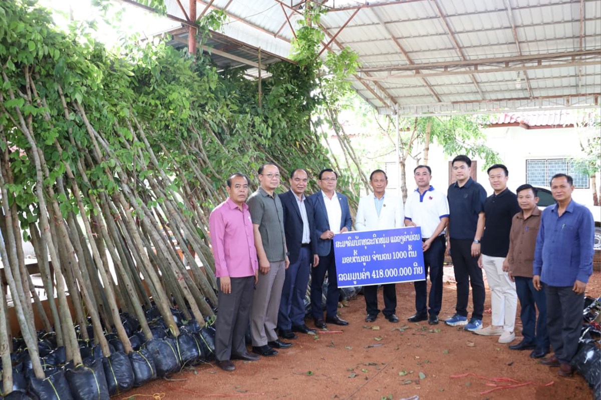 ສະມາຄົມນັກທຸລະກິດ ມອບຕົ້ນຄູນ ໃຫ້ແຂວງຄໍາມ່ວນ ຮ່ວມສ້າງພື້ນທີ່ສີຂຽວ image 1 ສະມາຄມນກທລະກດ ມອບຕນຄນ ໃຫແຂວງຄາມວນ ຮວມສາງພນທສຂຽວ - image 1
