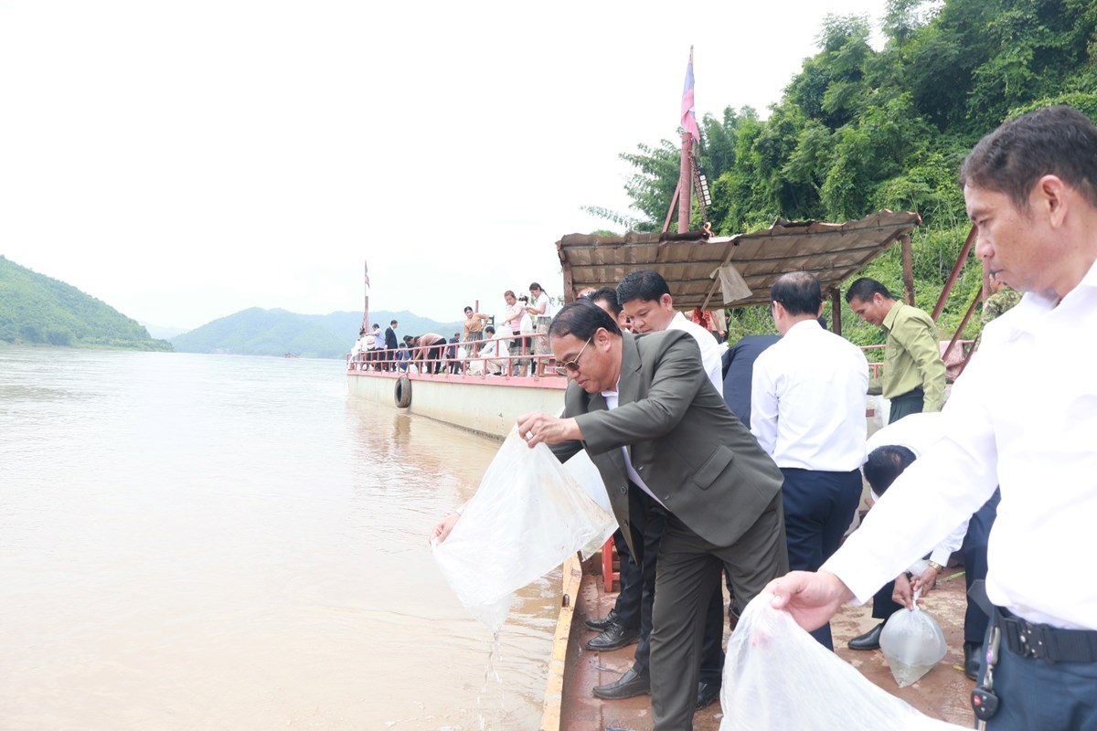 ແກນທາວ ປອຍ​ປາສະຫອງວນປອຍປາ ແລະ ສດນາແຫງຊາດ - image 2