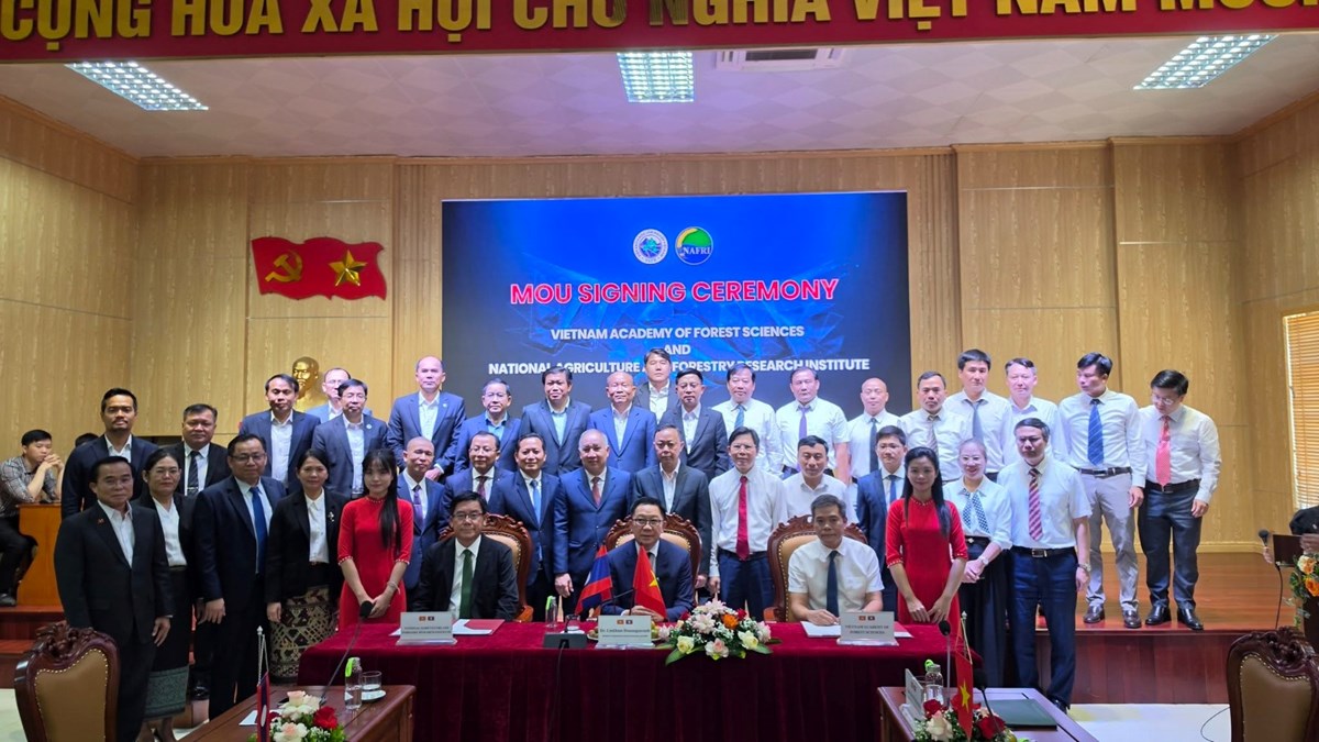 ລມຕ ກະຊວງກະສິກຳ ແລະ ສິ່ງແວດລ້ອມ ເຄື່ອນໄຫວວຽກງານທາງລັດຖະການ ທີ່ ສສ ຫວຽດນາມ image 2 ລມຕ ກະຊວງກະສກຳ ແລະ ສງແວດລອມ ເຄອນໄຫວວຽກງານທາງລດຖະການ ທ ສສ ຫວຽດນາມ - image 2
