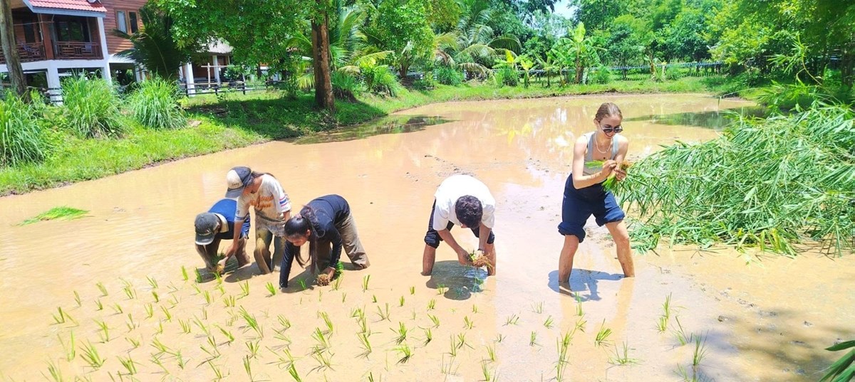 ສວນບໍລະເວນ ຕົ້ນແບບທ່ອງທ່ຽວອະນຸລັກ ທຳມະຊາດ ແລະ ພັດທະນາຊຸມຊົນ ໃຫ້ເຕີບໃຫຍ່ໄປພ້ອມກັນ image 1 ສວນບລະເວນ ຕນແບບທອງທຽວອະນລກ ທຳມະຊາດ ແລະ ພດທະນາຊມຊນ ໃຫເຕບໃຫຍໄປພອມກນ - image 1